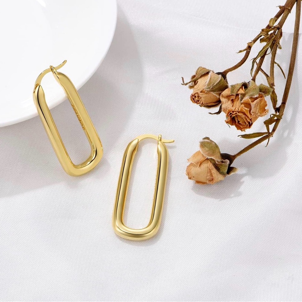 18K Gold Plated Chunky Hoop Earrings